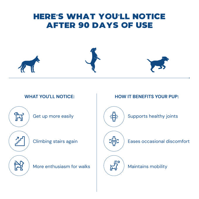 Jope Hip & Joint Dog Chews-1 60 Count